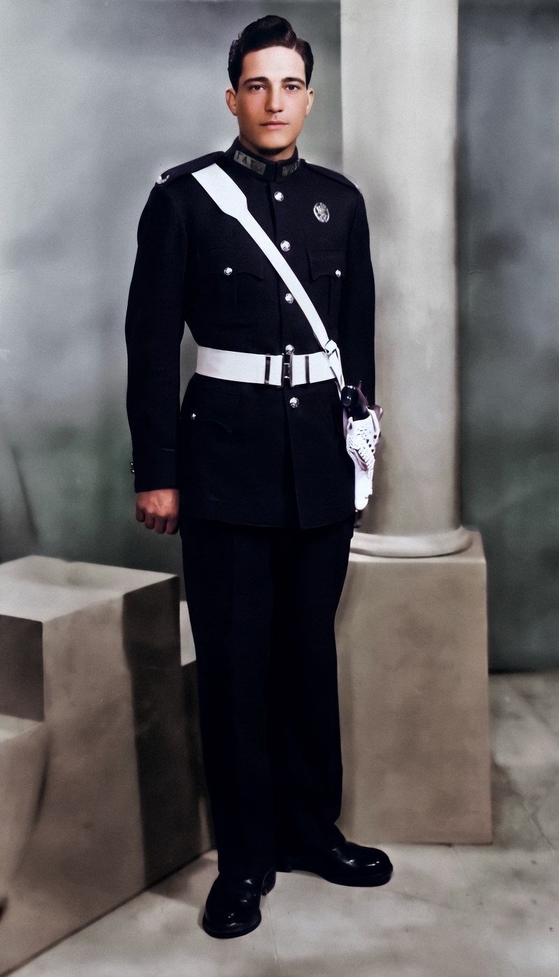A second colour version of the portrait in softer, cooler tones